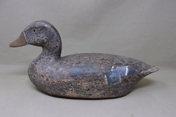 Illinois River Mallard Hen, Circa 1920's (#4788)