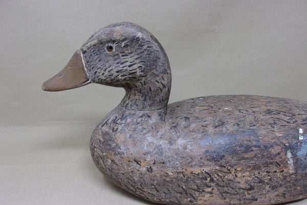 Illinois River Mallard Hen, Circa 1920's (#4788)