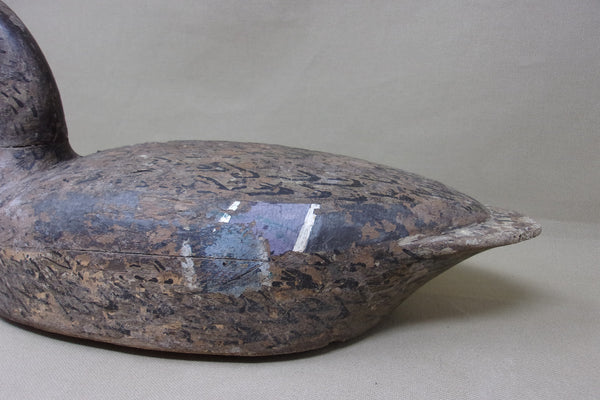 Illinois River Mallard Hen, Circa 1920's (#4788)