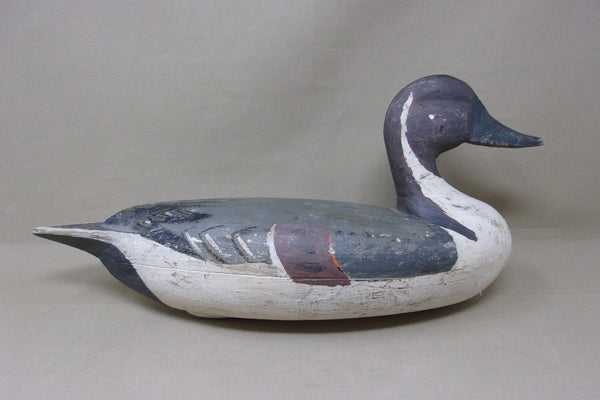 Pekin Pintail, Weighted and Rigged, Circa 1930's (#4789)
