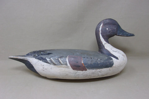 Pekin Pintail, Weighted and Rigged, Circa 1930's (#4789)