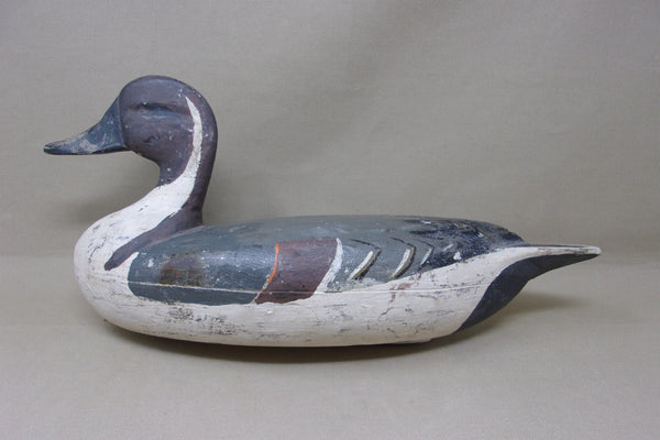 Pekin Pintail, Weighted and Rigged, Circa 1930's (#4789)