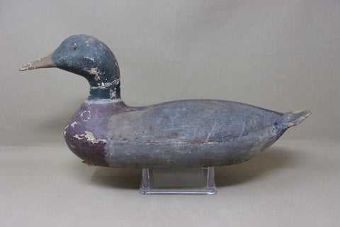 Illinois River Mallard Drake, Worn Original paint (#4794)