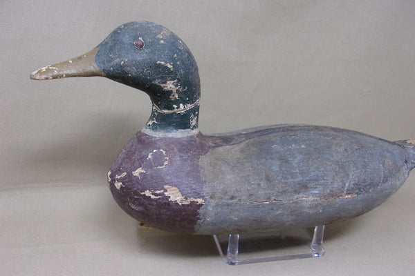 Illinois River Mallard Drake, Worn Original paint (#4794)