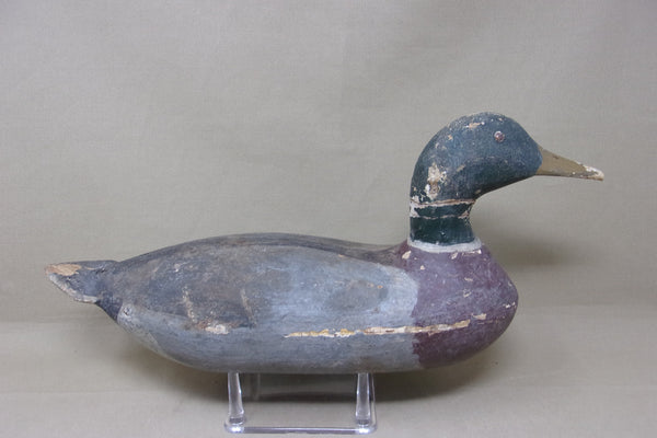 Illinois River Mallard Drake, Worn Original paint (#4794)
