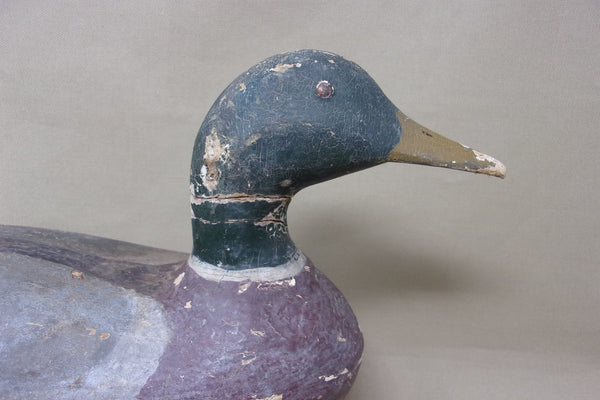 Illinois River Mallard Drake, Worn Original paint (#4794)