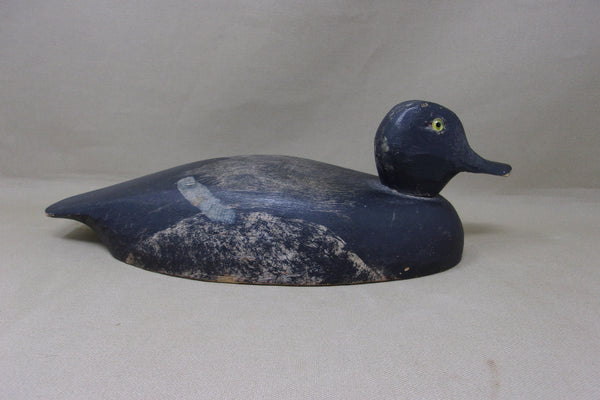 Midwest Blue Bill, Circa 1930's (#4798)