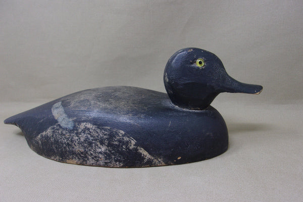 Midwest Blue Bill, Circa 1930's (#4798)