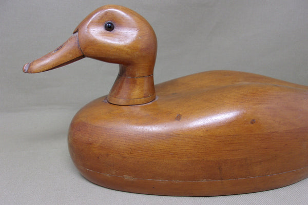 Otto Quetsch Puddle Duck (#4808)