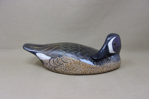 Torry Ward Blue Wing Teal Preener (#4821)