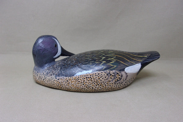 Torry Ward Blue Wing Teal Preener (#4821)