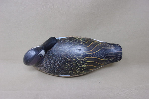 Torry Ward Blue Wing Teal Preener (#4821)