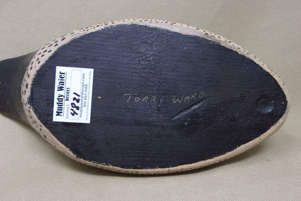 Torry Ward Blue Wing Teal Preener (#4821)