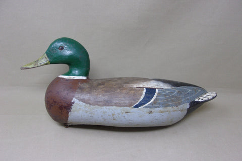 Charles Perdew Mallard Drake, with Perdew Weight, Circa 1920's (#4823)