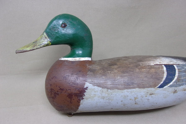 Charles Perdew Mallard Drake, with Perdew Weight, Circa 1920's (#4823)