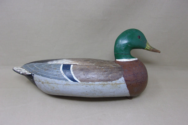 Charles Perdew Mallard Drake, with Perdew Weight, Circa 1920's (#4823)