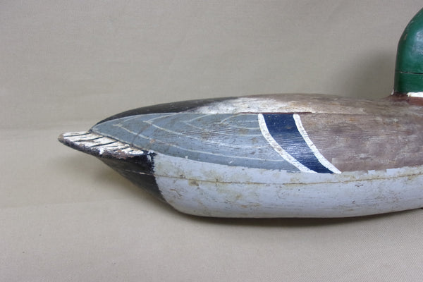 Charles Perdew Mallard Drake, with Perdew Weight, Circa 1920's (#4823)