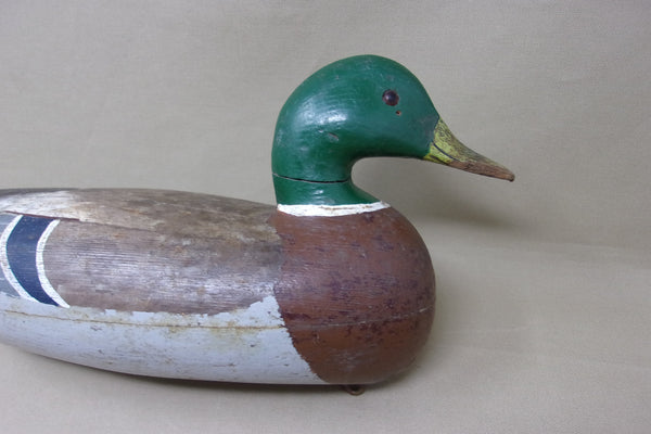 Charles Perdew Mallard Drake, with Perdew Weight, Circa 1920's (#4823)
