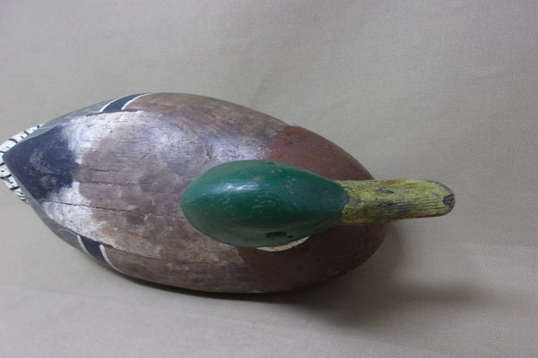 Charles Perdew Mallard Drake, with Perdew Weight, Circa 1920's (#4823)