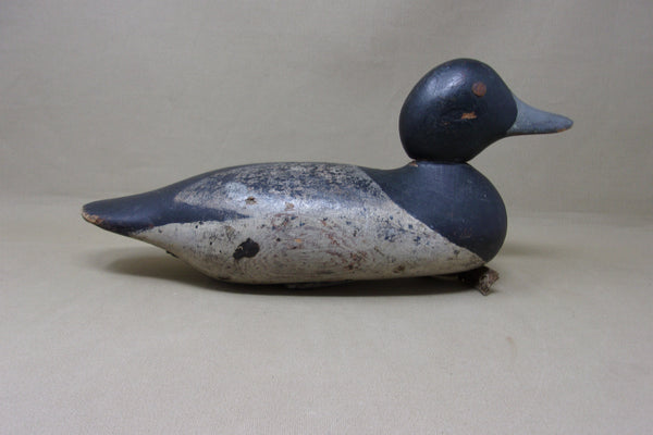 Mason Blue Bill Painted Eye Model with Added Tack Eyes  (#4830)