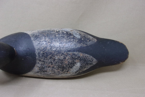 Mason Blue Bill Painted Eye Model with Added Tack Eyes  (#4830)