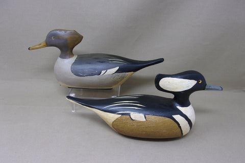 Jim Slack half size Hooded Mergansers (#4848)