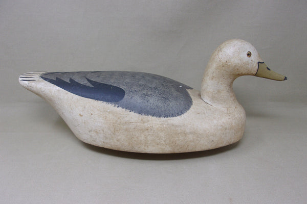 Wildfowler Seagull, Old Saybrook (#4849)