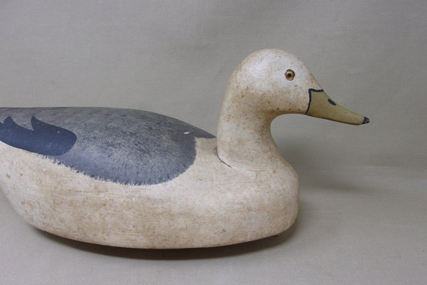 Wildfowler Seagull, Old Saybrook (#4849)