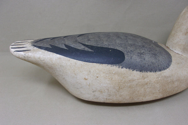 Wildfowler Seagull, Old Saybrook (#4849)