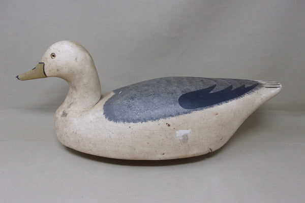 Wildfowler Seagull, Old Saybrook (#4849)