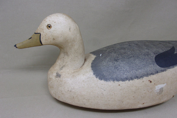 Wildfowler Seagull, Old Saybrook (#4849)