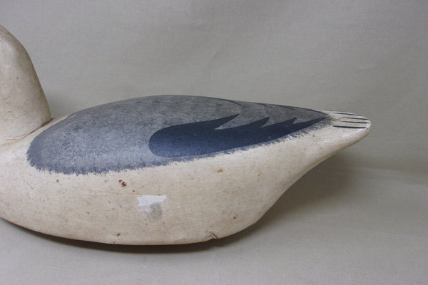 Wildfowler Seagull, Old Saybrook (#4849)