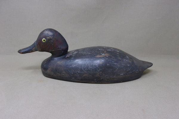 Canadian Redhead Drake, Circa 1920's (#4888)