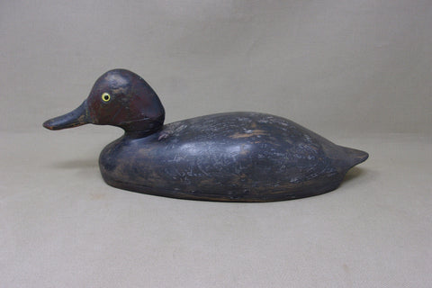 Canadian Redhead Drake, Circa 1920's (#4888)