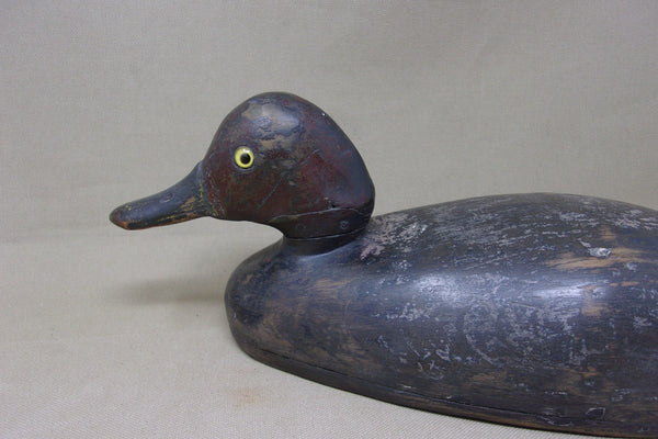 Canadian Redhead Drake, Circa 1920's (#4888)