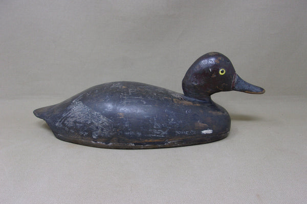 Canadian Redhead Drake, Circa 1920's (#4888)