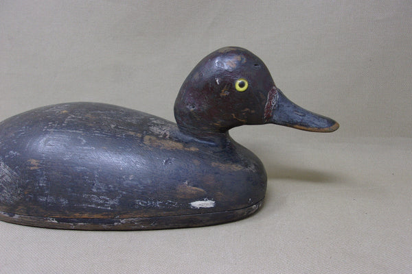 Canadian Redhead Drake, Circa 1920's (#4888)