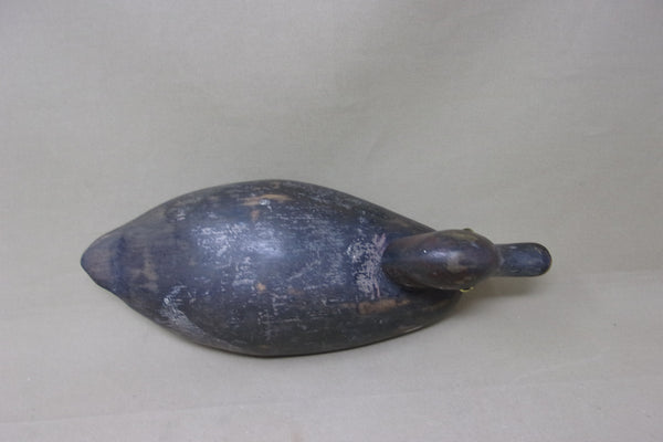 Canadian Redhead Drake, Circa 1920's (#4888)