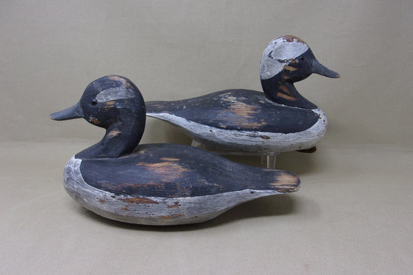 Romie Waterfield Bufflehead Pair (#4890)