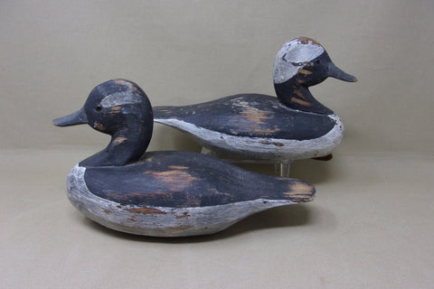 Romie Waterfield Bufflehead Pair (#4890)