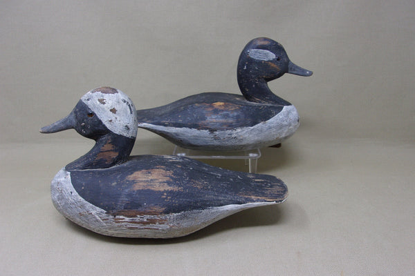 Romie Waterfield Bufflehead Pair (#4890)