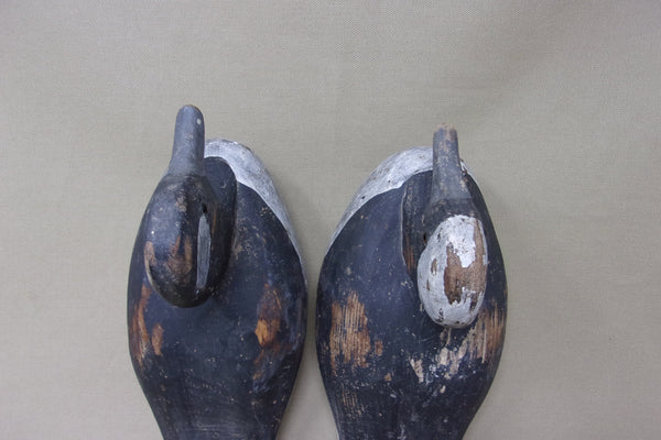 Romie Waterfield Bufflehead Pair (#4890)