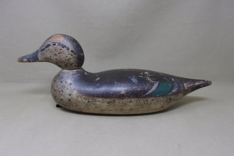 Mason Pintail Hen, All Original, Circa 1920's (#4900)