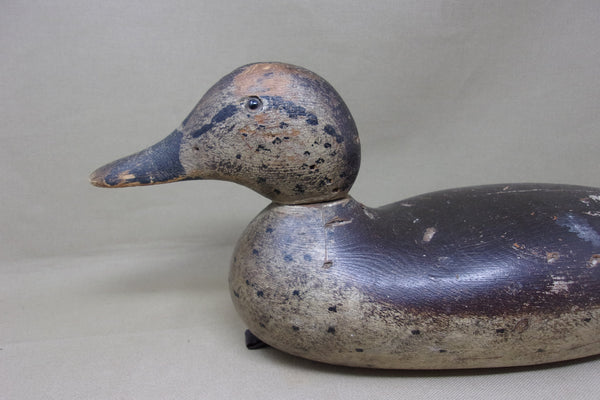 Mason Pintail Hen, All Original, Circa 1920's (#4900)