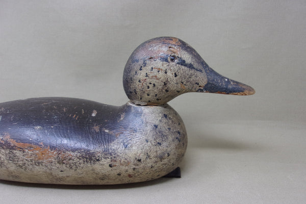 Mason Pintail Hen, All Original, Circa 1920's (#4900)