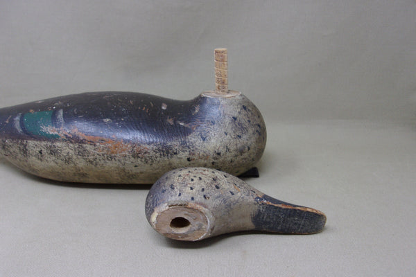 Mason Pintail Hen, All Original, Circa 1920's (#4900)