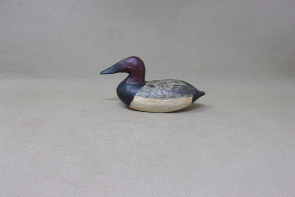Miniature Canvasback (#4906)