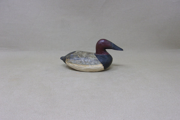 Miniature Canvasback (#4906)