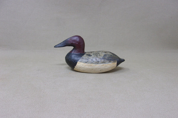 Miniature Canvasback (#4906)