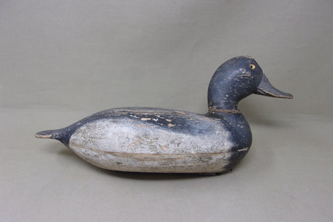 Elliston Blue Bill, Dry Original Paint, Circa 1890's (#4913)